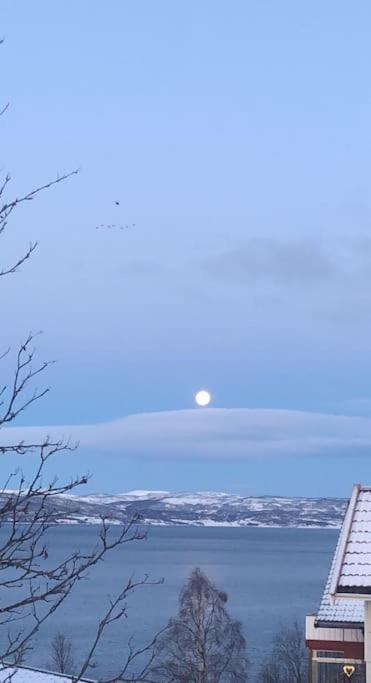 Gateway Senja Leilighet Finnsnes Eksteriør bilde